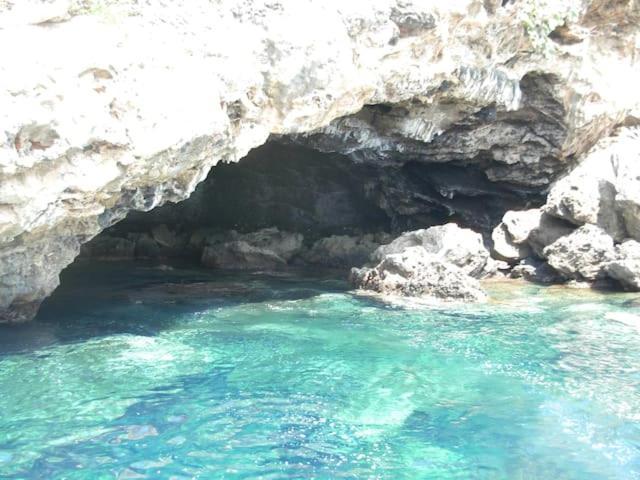 Appartamento Al Centro Di Ustica Isola di Ustica ภายนอก รูปภาพ